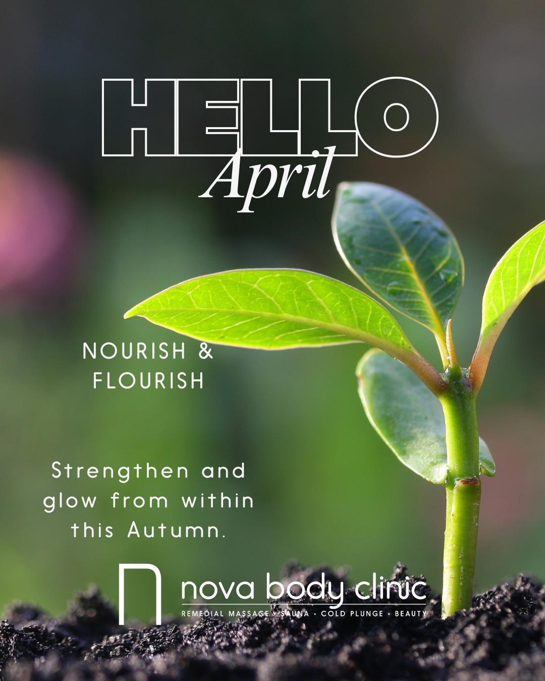 Autumn Nourishment: How to Strengthen & Glow from Within